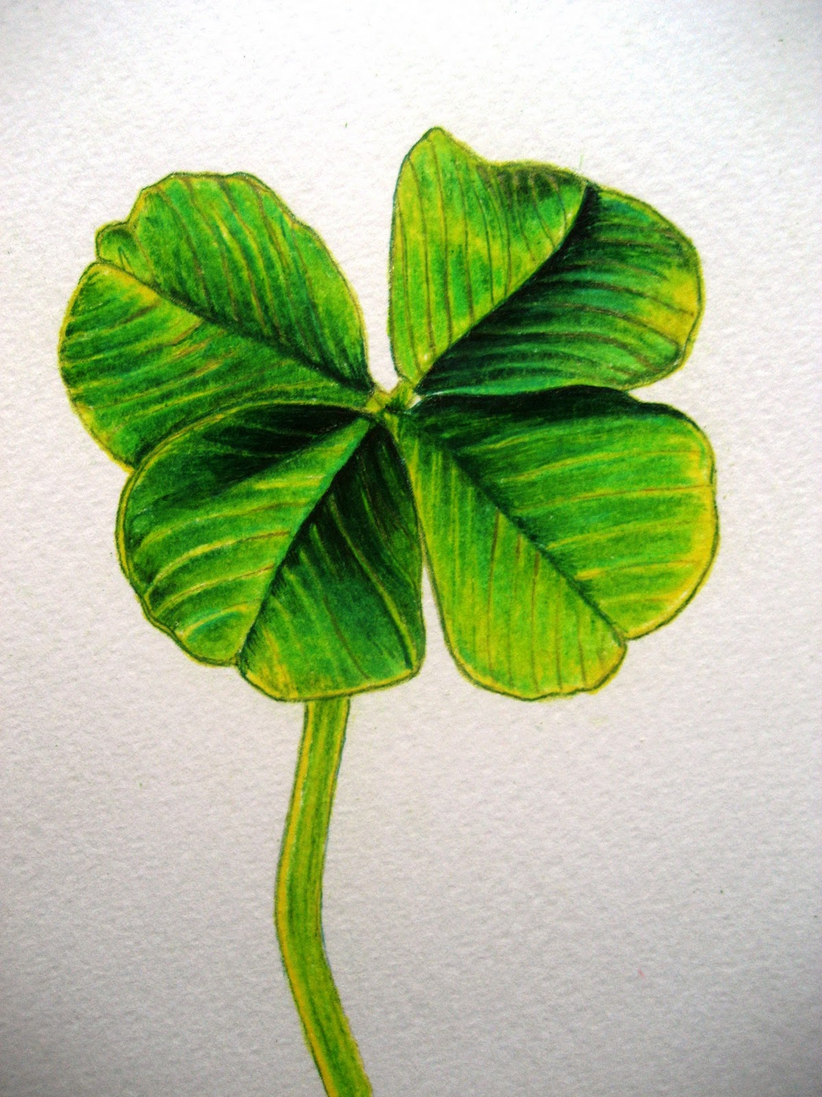 1200x1600 Clover Leaf Drawing March 17, 2011 - Four Leaf Clover Sketch