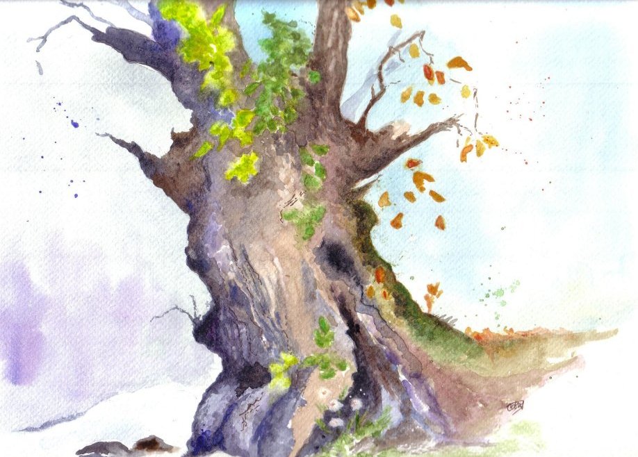 918x658 Down A Dusty Lane......by Cathy Holtom Four Seasons = One Year - Four Seasons Sketch