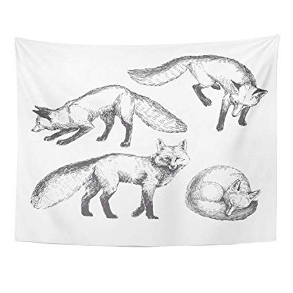 425x425 Emvency Tapestry Polyester Fabric Print Home Decor Red - Fox Animal Sketch