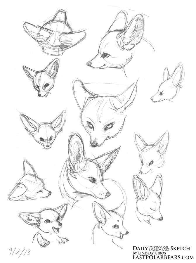 671x900 Animal Gesture Drawing Elegant Daily Animal Sketch Giraffe And - Fox Animal Sketch