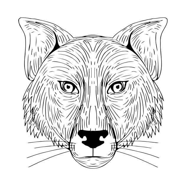 630x630 Fox Head Front Drawing - Fox Head Sketch