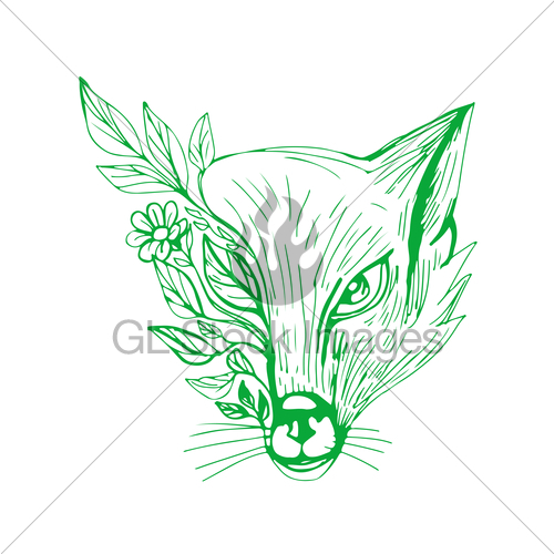 500x500 Fox Head With Flower And Leaves Drawing Gl Stock Images - Fox Head Sketch