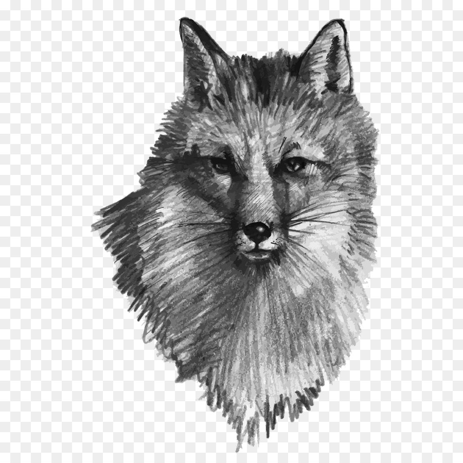 900x900 Gray Wolf Drawing Fox Illustration - Fox Head Sketch