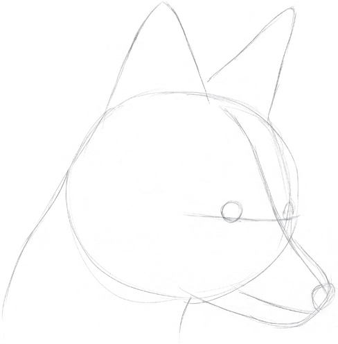 Fox Head Sketch at PaintingValley.com | Explore collection of Fox Head ...