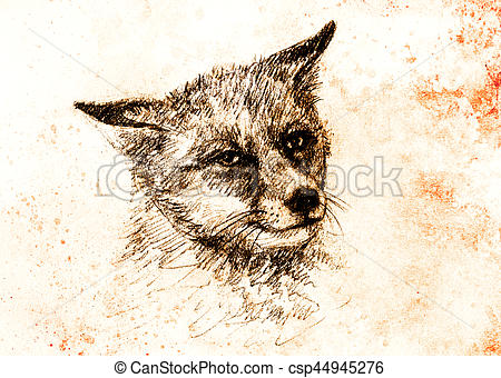 450x340 Fox Portrait, Pencil Drawing On Paper And Vintage Effect. Fox - Fox Pencil Sketch
