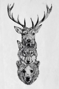 200x300 Large Framed Print - Fox Pencil Sketch