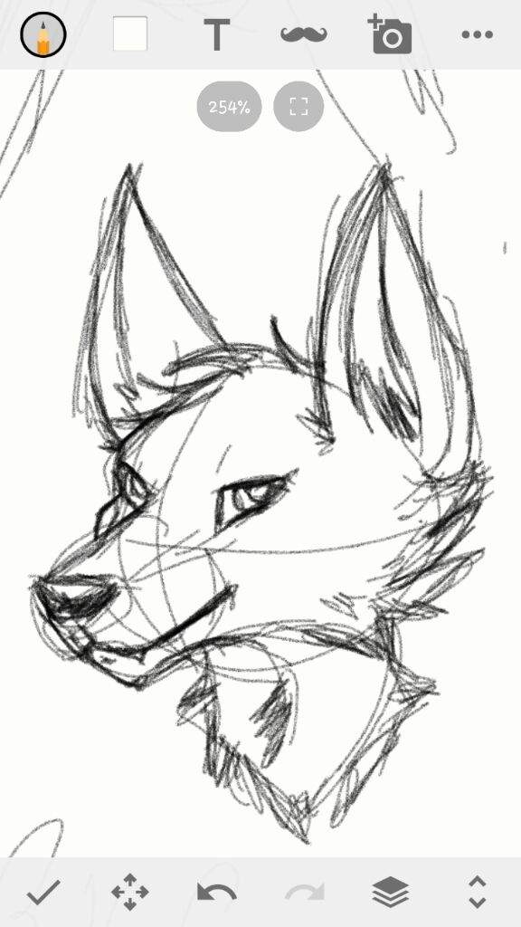576x1024 Fox Sketch! Furry Amino - Fox Sketch
