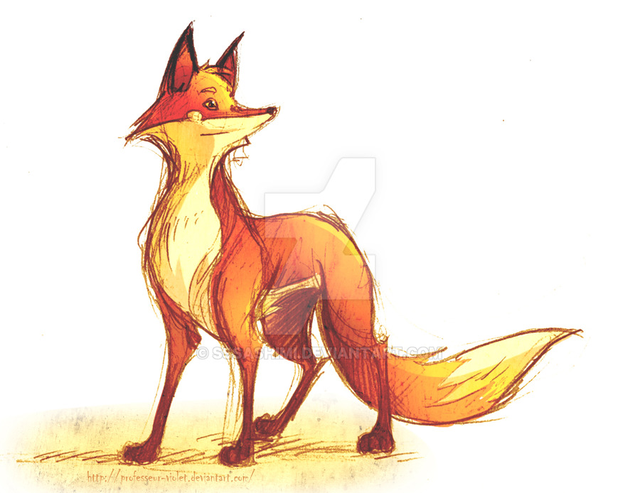 900x694 Fox Sketch Colored By Sssashimi - Fox Sketch