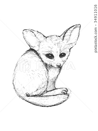 337x450 Fox, Sketch, Sketching - Fox Sketch