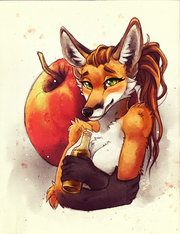 618x800 Apple Cider Fox - Fox Sketch