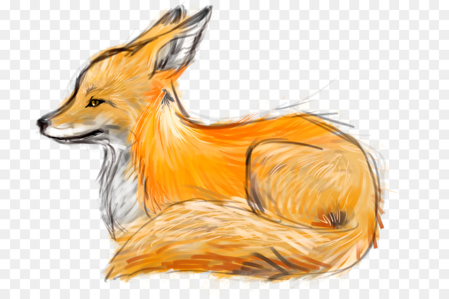 900x600 Drawing Fox Art Sketch - Fox Sketch
