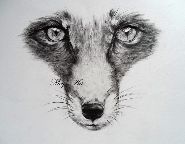 600x467 Fox Face Drawing Sketch Drawing Skill - Fox Sketch Drawing