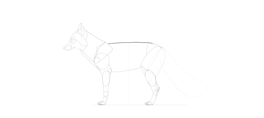 850x382 How To Draw A Fox Step By Step - Fox Sketch Drawing
