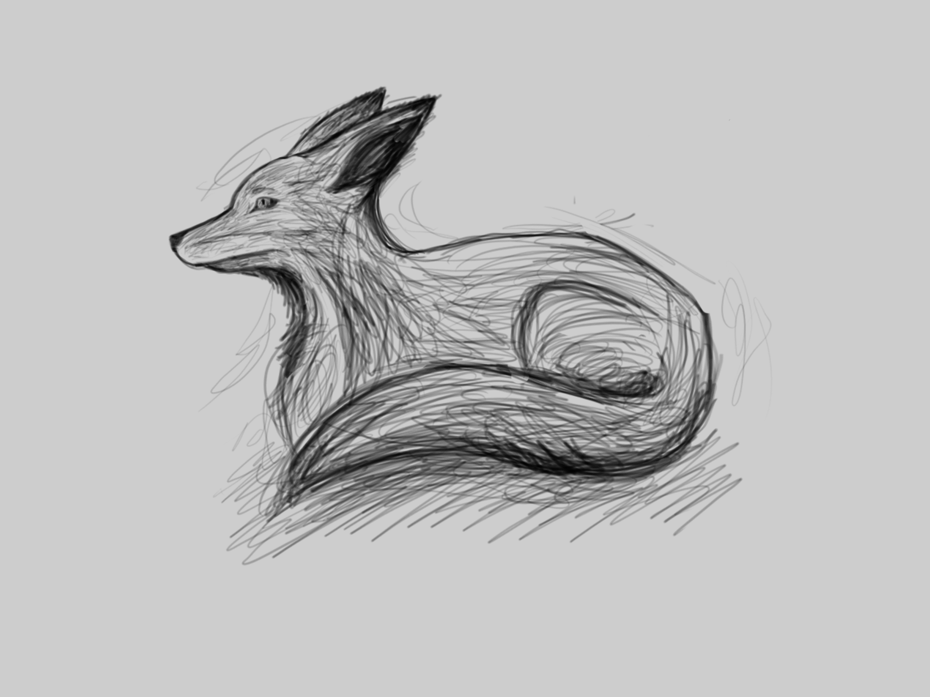 1890x1417 Sketching With Microsoft Surface Pro 3 - Fox Sketch Drawing
