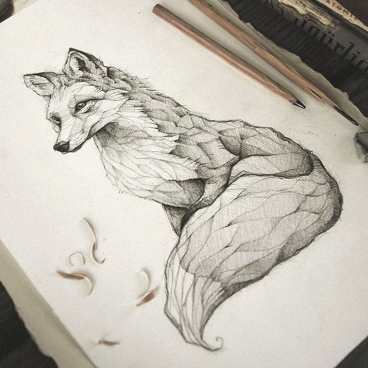 750x750 Pencil, Drawing, Illustration, Art, Retro, Vintage, Old, Fox, Red - Fox Sketch Drawing