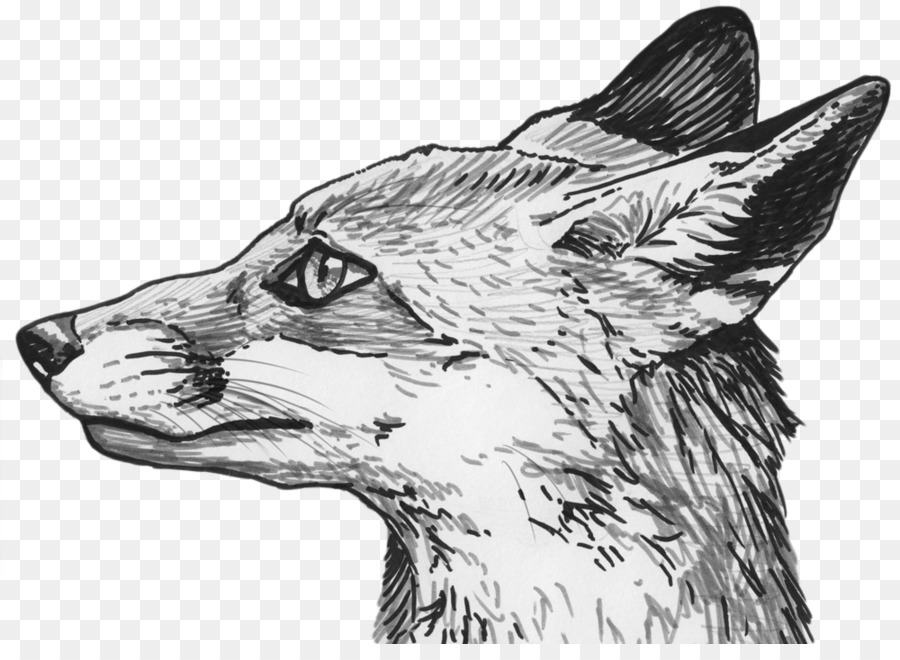 900x660 Drawing Fox Sketch - Fox Sketch Drawing