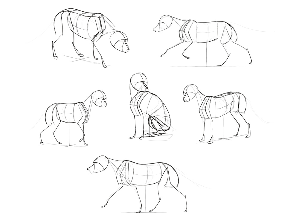 1000x749 How To Draw A Fox Step By Step - Fox Sketch Easy