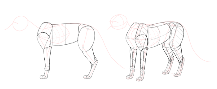 700x289 How To Draw A Fox Step By Step - Fox Sketch Easy