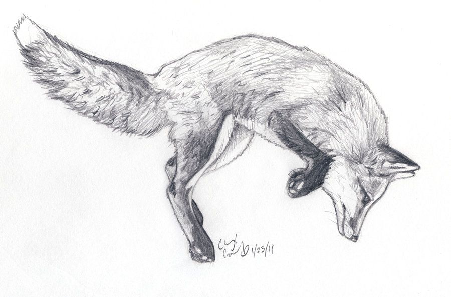 900x593 Fox Jump Sketch By ~silvercrossfox Cute Things - Fox Sketch Images