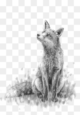 260x371 Fox Sketch Png Images Vectors And Psd Files Free Download On - Fox Sketch Images