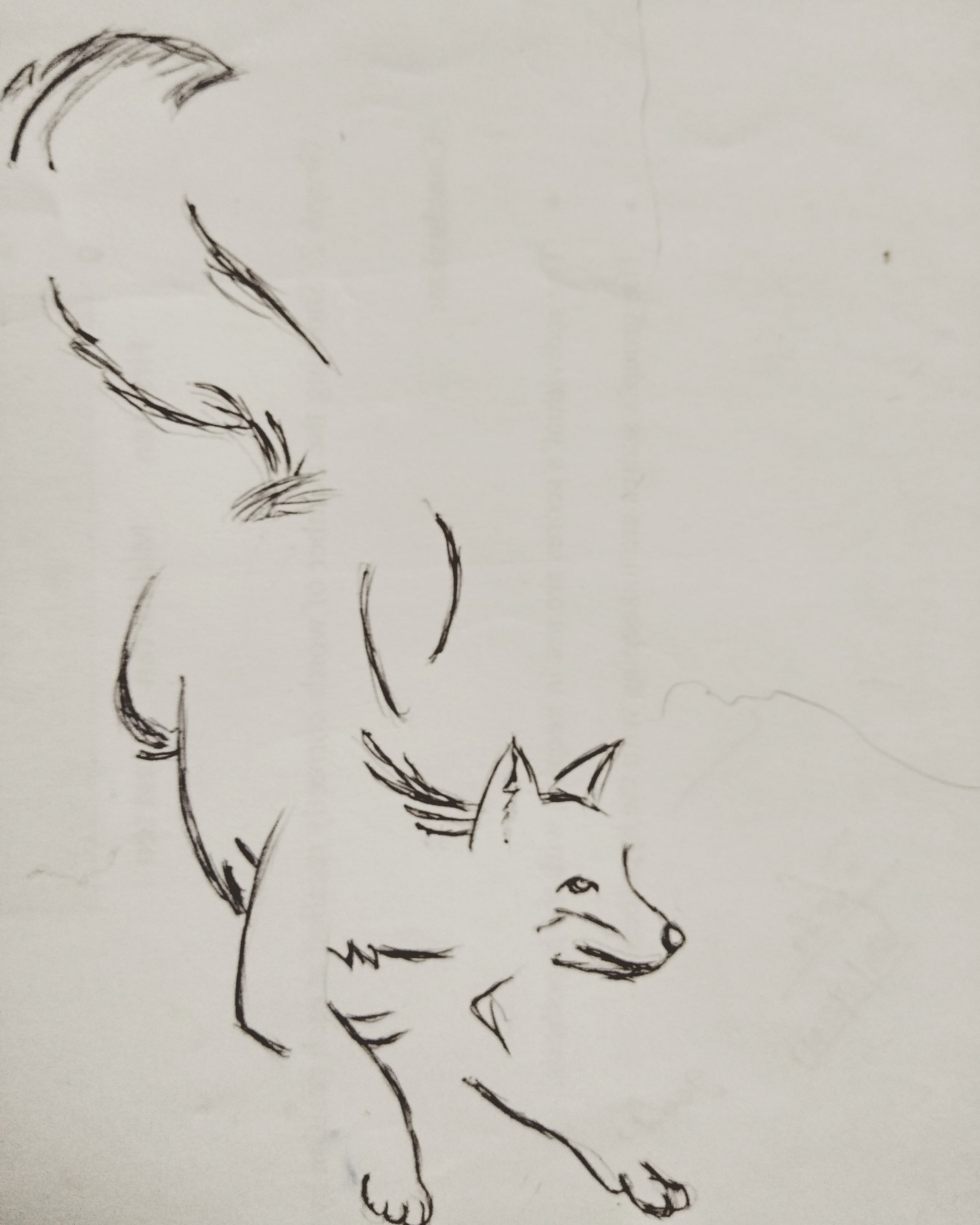 2400x3000 Fox Sketch Rijul Ballal - Fox Sketch Images