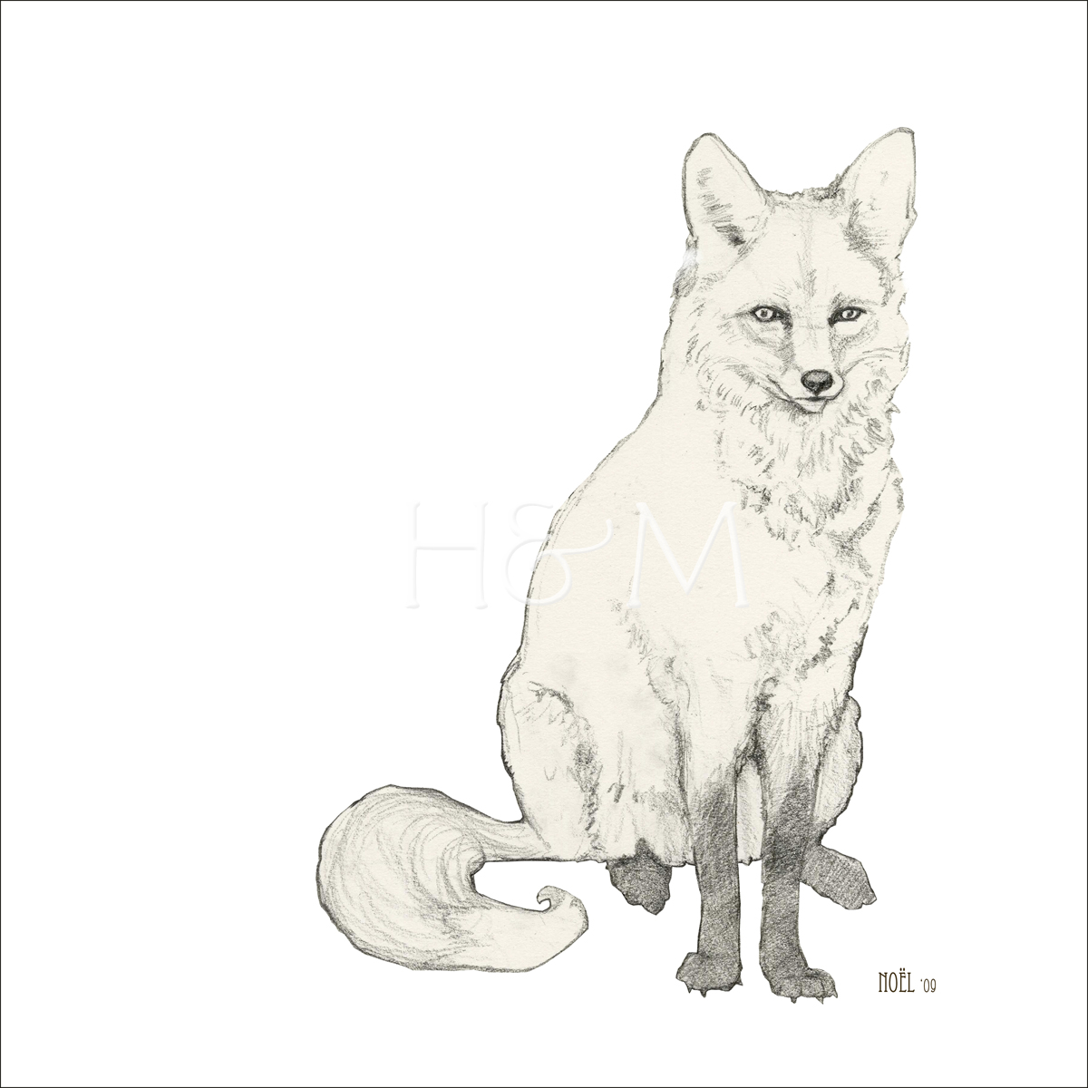 1200x1200 Hunter And Moon Fox Sketch - Fox Sketch Images