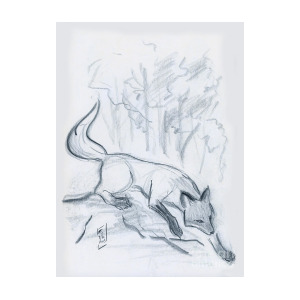 300x300 Japanese Fox Sketch Drawing By Brandy Woods - Fox Sketch Images