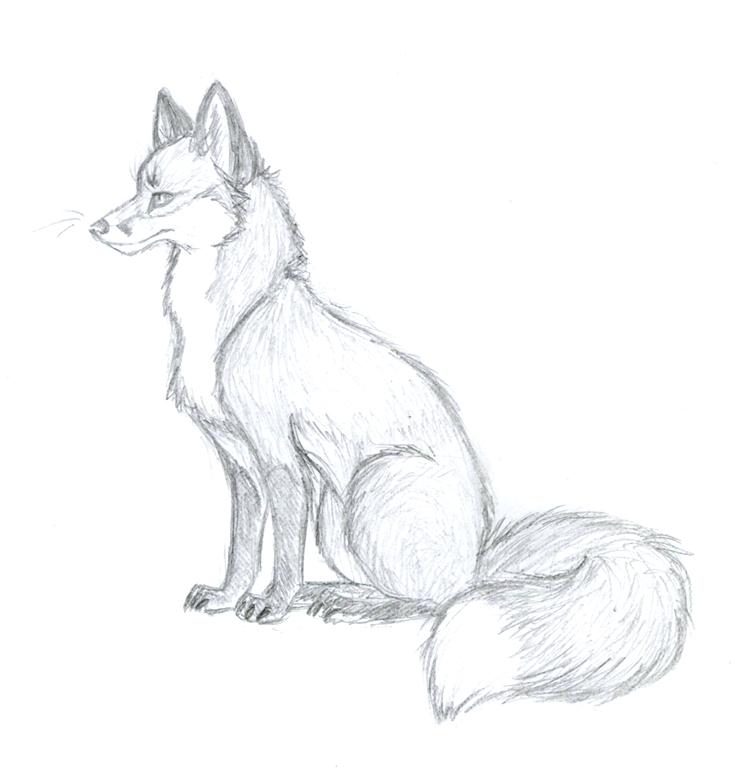 750x779 Excellent Fox Drawings Breathtaking - Fox Sketch Images