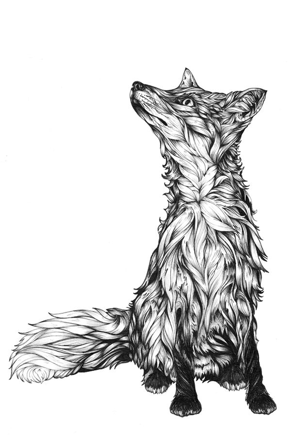600x901 Best Fox Tattoos Design And Ideas - Fox Tattoo Sketch