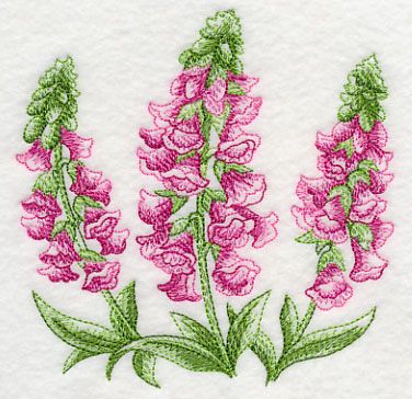376x364 Foxglove Sketch 53016 Floral Embroidery Designs - Foxglove Sketch