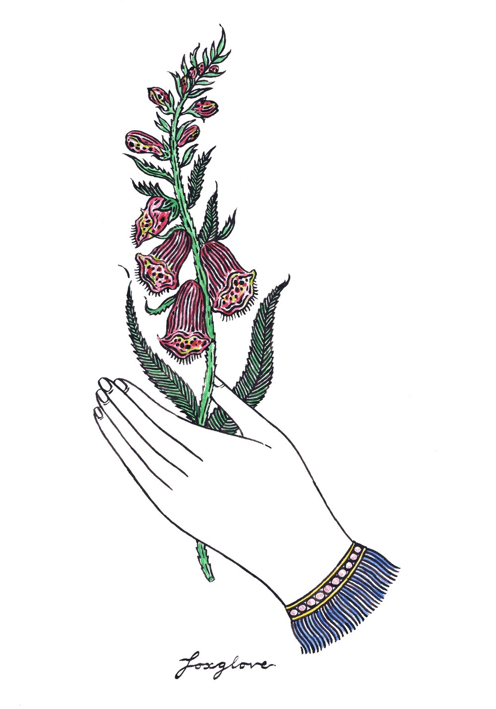 1000x1428 Foxglove Partnership Editions - Foxglove Sketch
