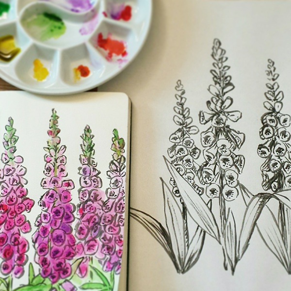 600x600 Foxgloves On Behance - Foxglove Sketch