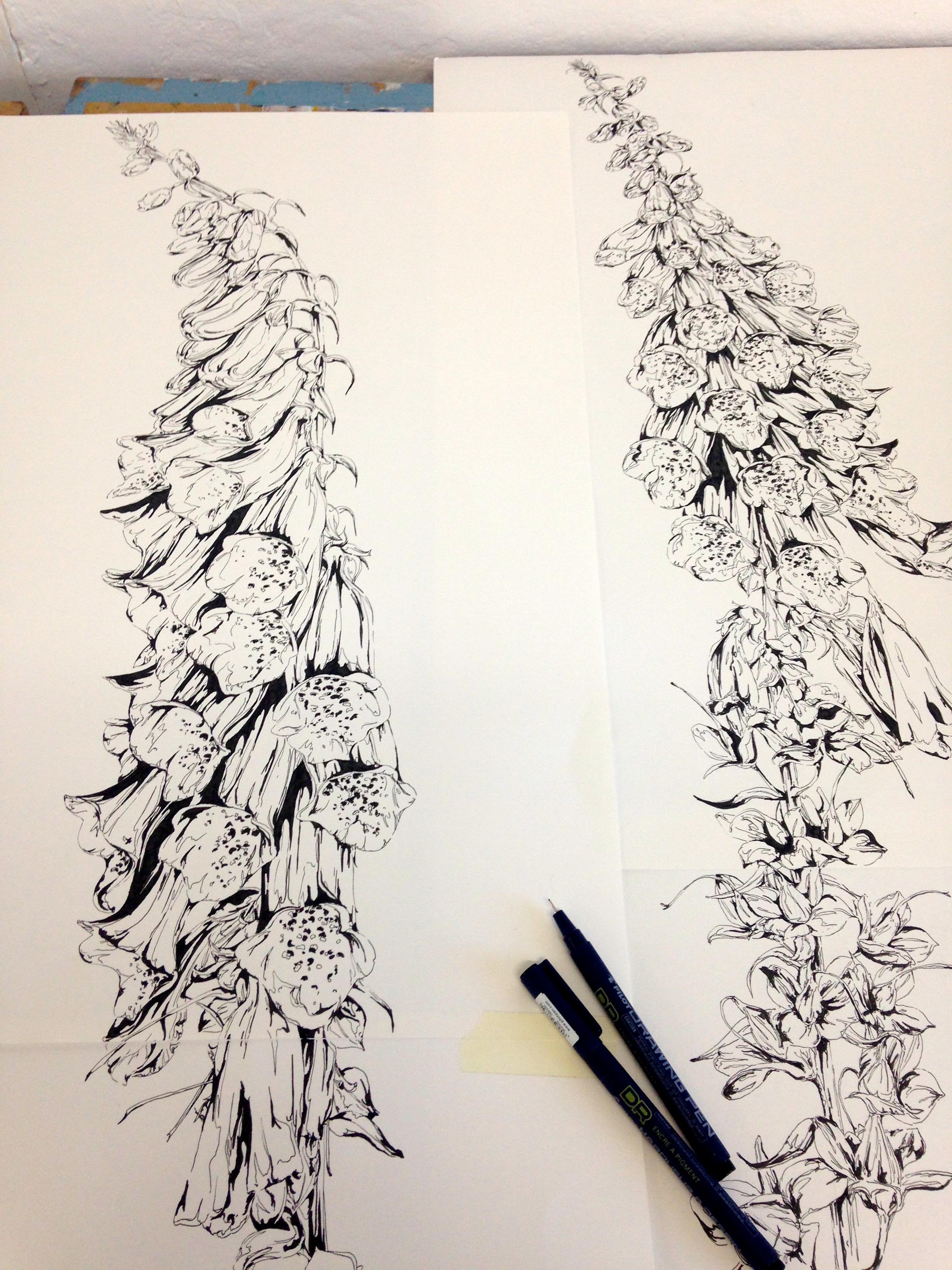 2448x3264 Sketch Chloe Gregory Illustration Print - Foxglove Sketch