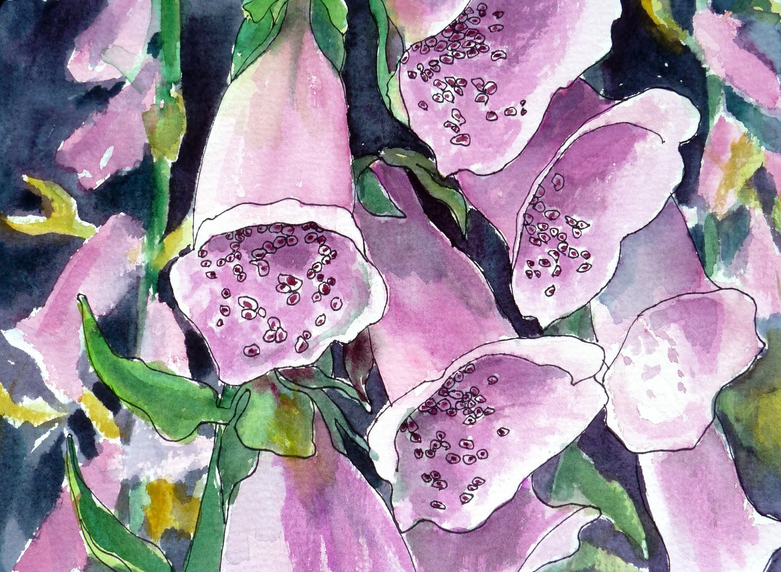 1600x1171 Still Coloring Out Of The Lines June 2011 - Foxglove Sketch