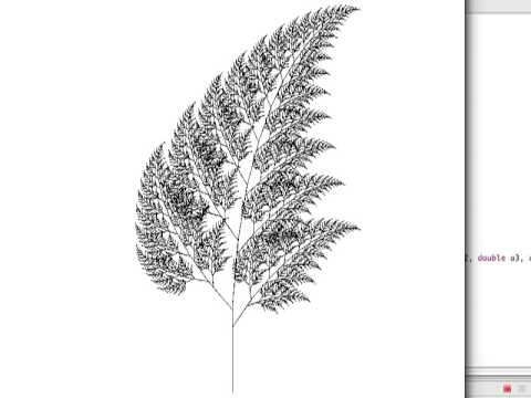 480x360 Java Fern Fractal - Fractal Sketch