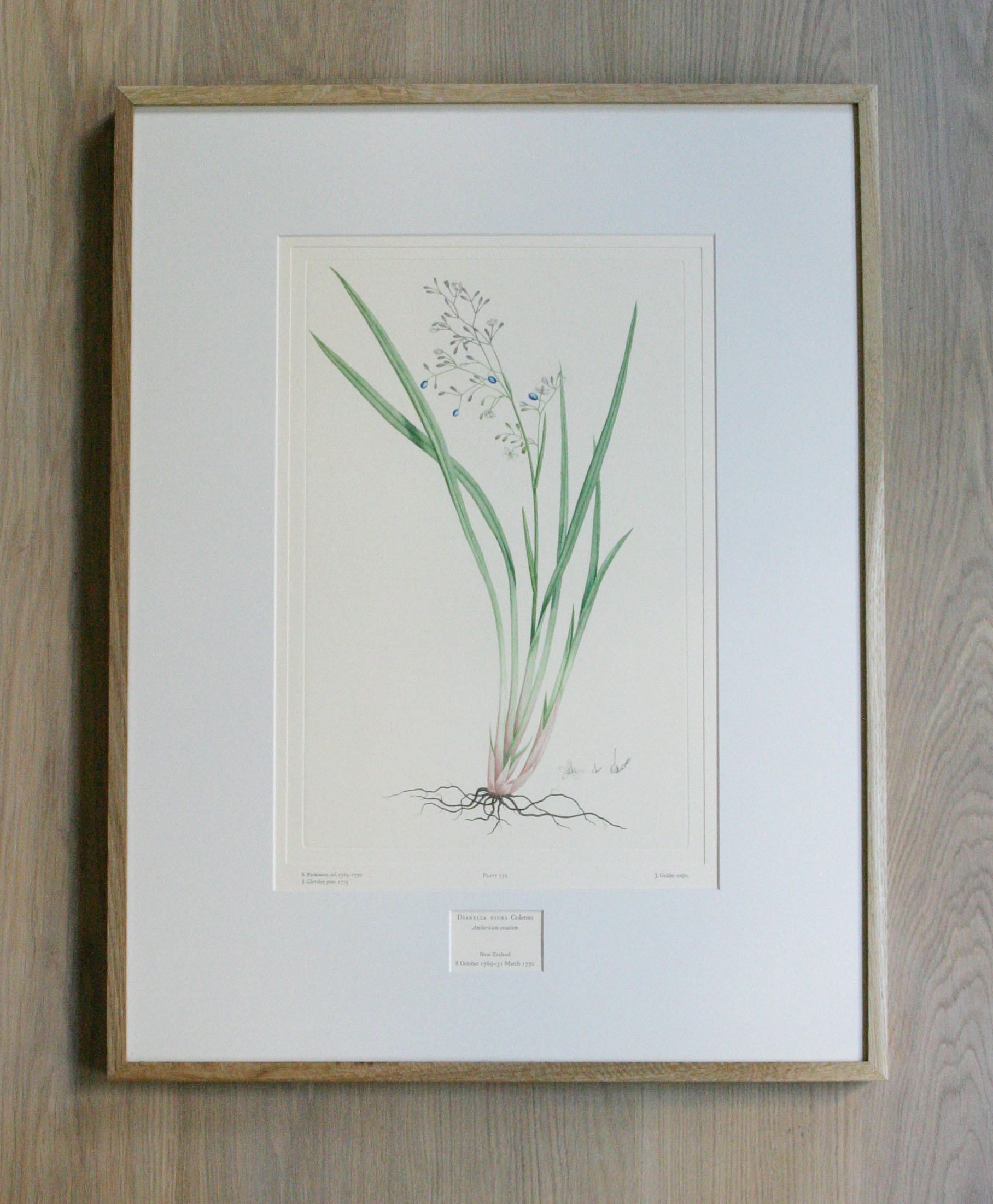 1816x2202 Framing Prints And Drawings - Framed Sketch Prints