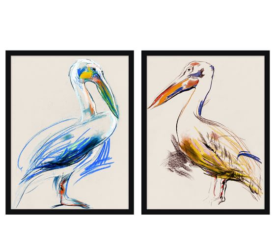 558x501 Pelican Sketch Framed Prints Pottery Barn - Framed Sketch Prints