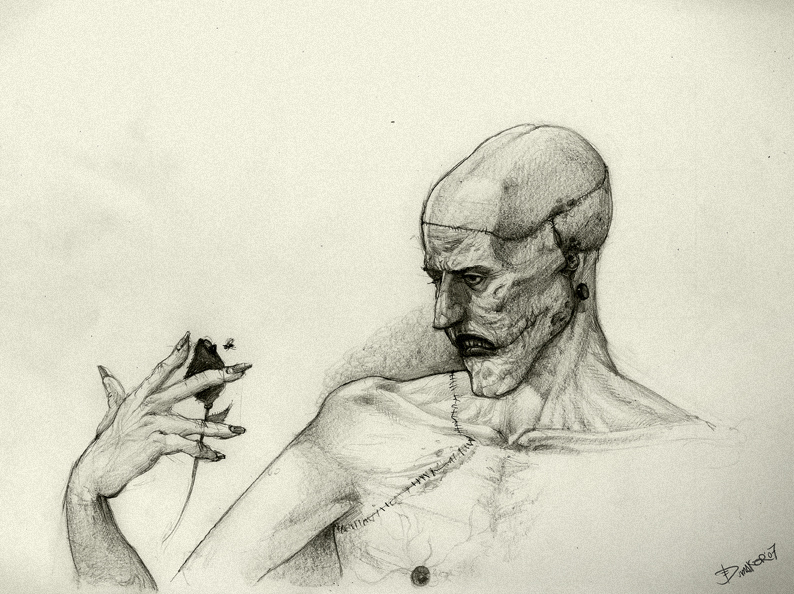794x594 Frankenstein Sketch 3 By Dumaker - Frankenstein Sketch