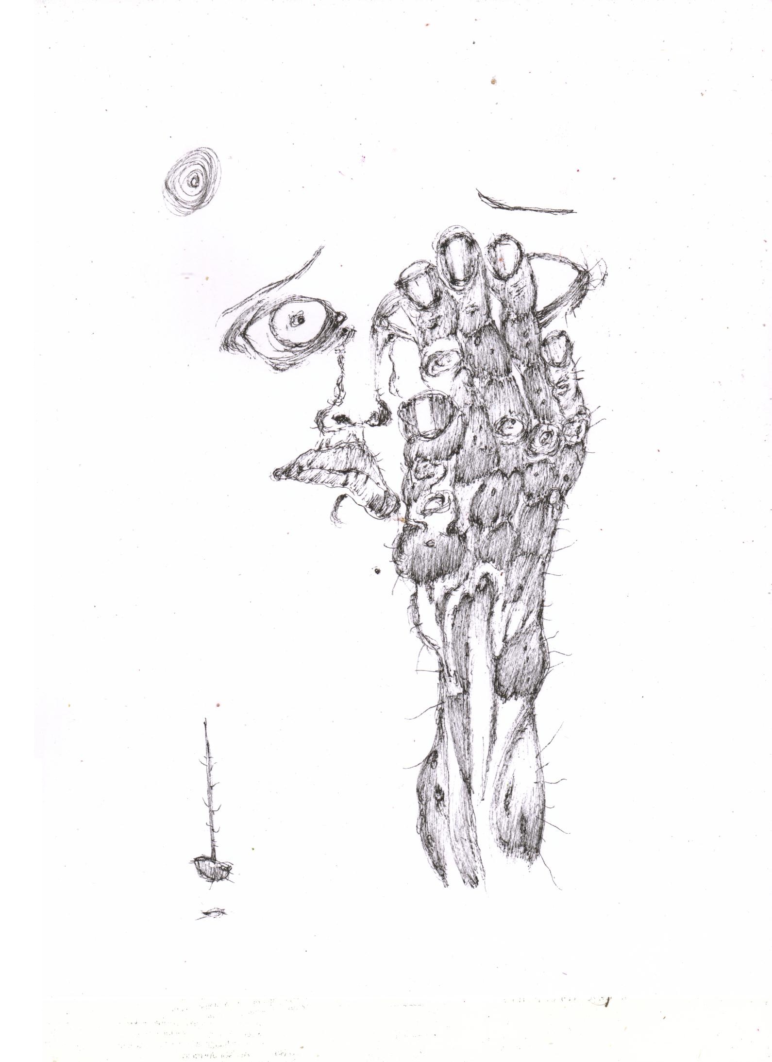 1590x2186 Filetmp 9776 Free Bird Ukrainian Song Illustration Bampw 1365754571 - Free Bird Sketch