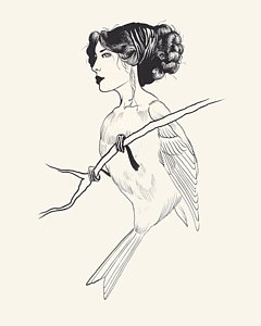 240x300 Free Bird Drawings Fine Art America - Free Bird Sketch