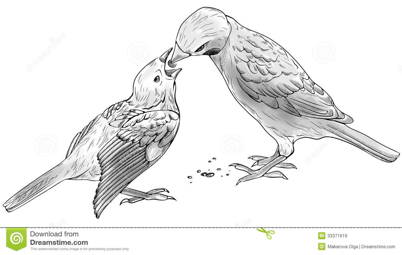 1300x826 Sparrow Bird Pencil Sketch Image Drawn Sparrow Free Bird Pencil - Free Bird Sketch