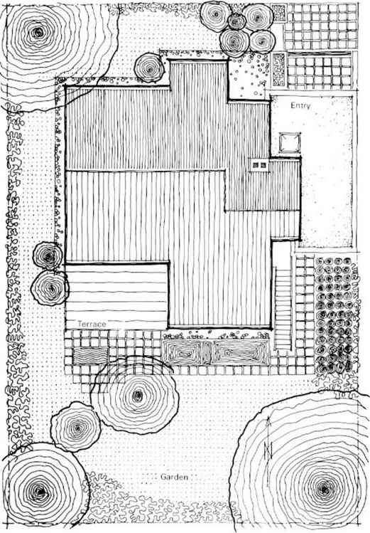 521x749 Cellar - Free Hand Sketching