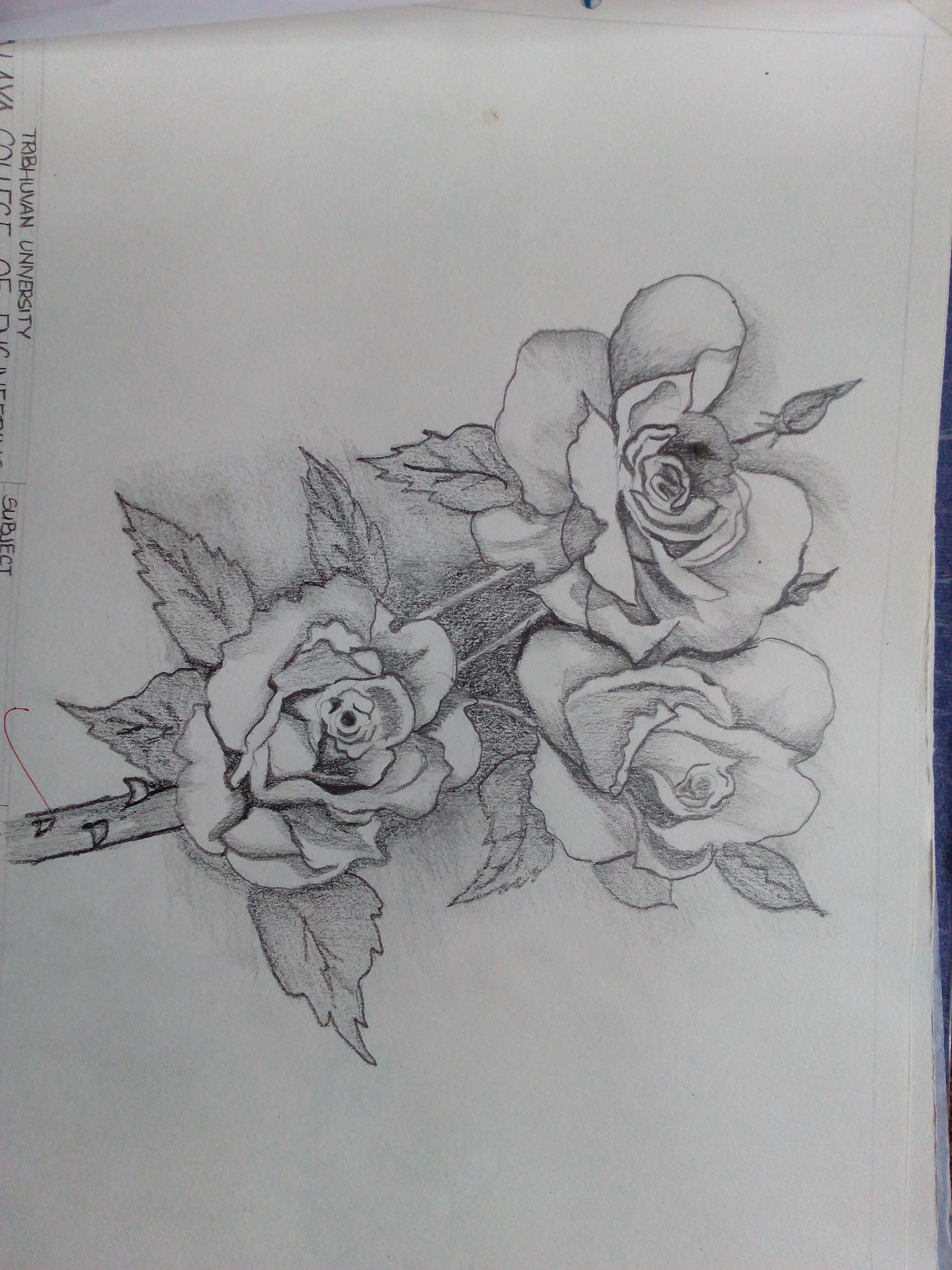 2448x3264 Free Hand Sketching 1st Year 1st Part Prakriti Bhandari - Free Hand Sketching