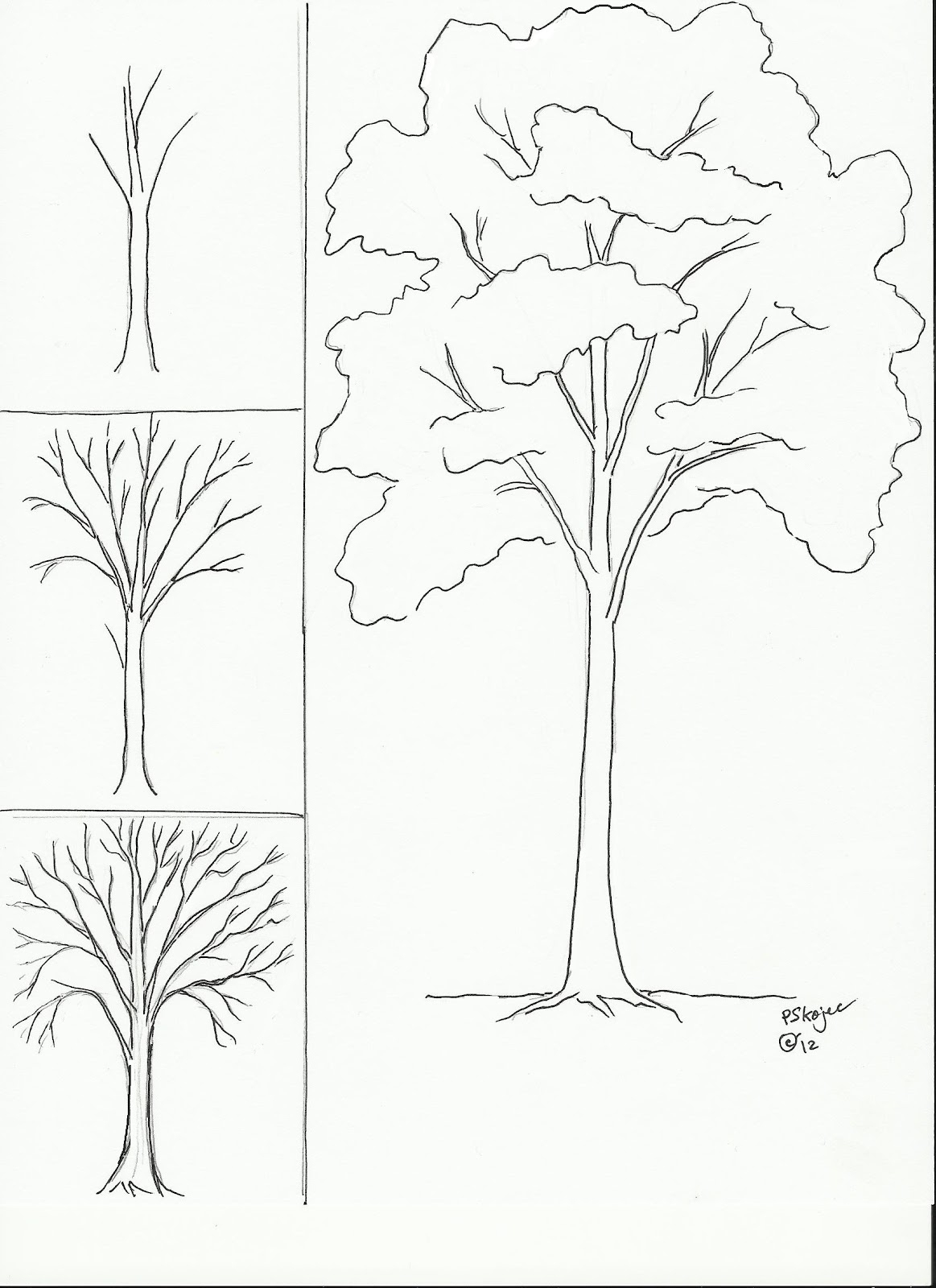 1163x1600 Line Drawing Ideas Step By Step Kids Drawing Of A Tree At - Free Sketch Ideas
