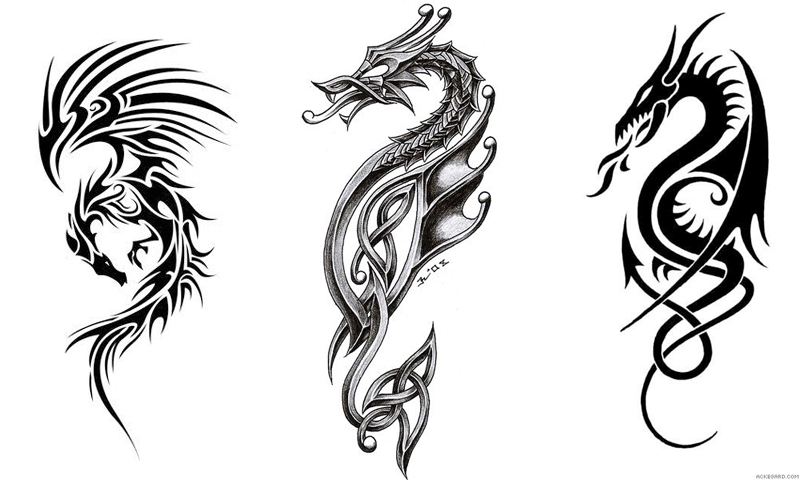 800x480 Free Dragon Tattoo Design Apk Download For Android Getjar - Free Tattoo Sketches