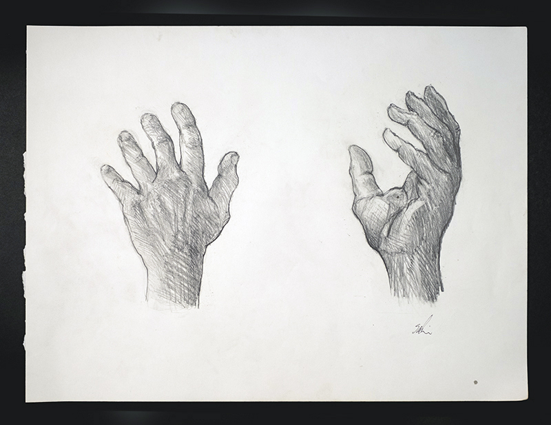 800x617 The Joy Of Freedom - Freedom Sketch