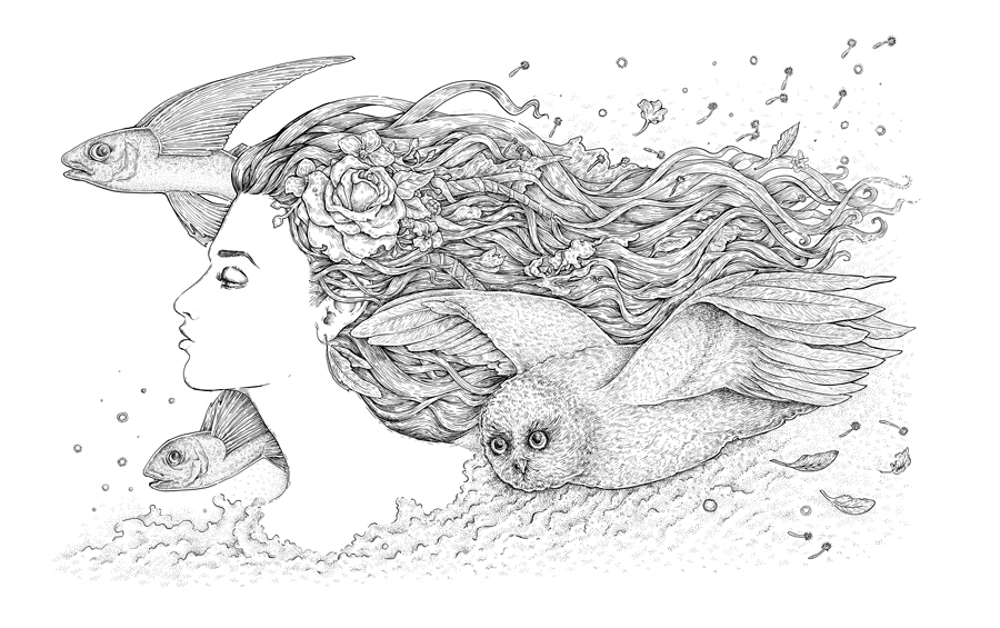 900x565 The Spirit Of Freedom Eugenia Hauss - Freedom Sketch