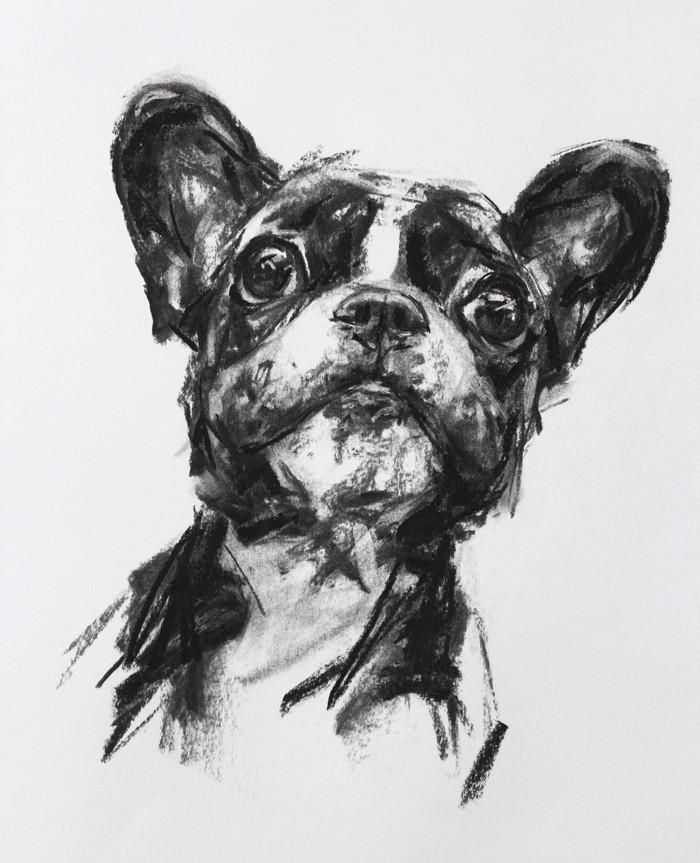 700x863 French Bulldog Portrait - French Bulldog Sketch