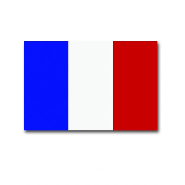 600x600 French Flag 2014 - French Flag Sketch