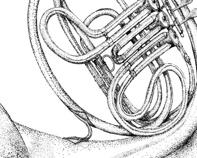 650x520 French Horn By Kevin Mowatt - French Horn Sketch